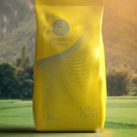 میکس گلدن ویژه